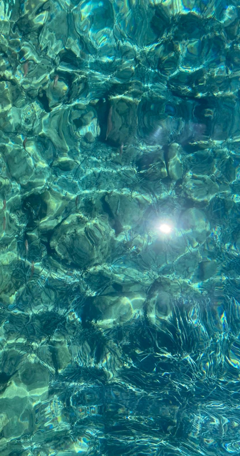 sommerregen taschengeld und abschiedstränen