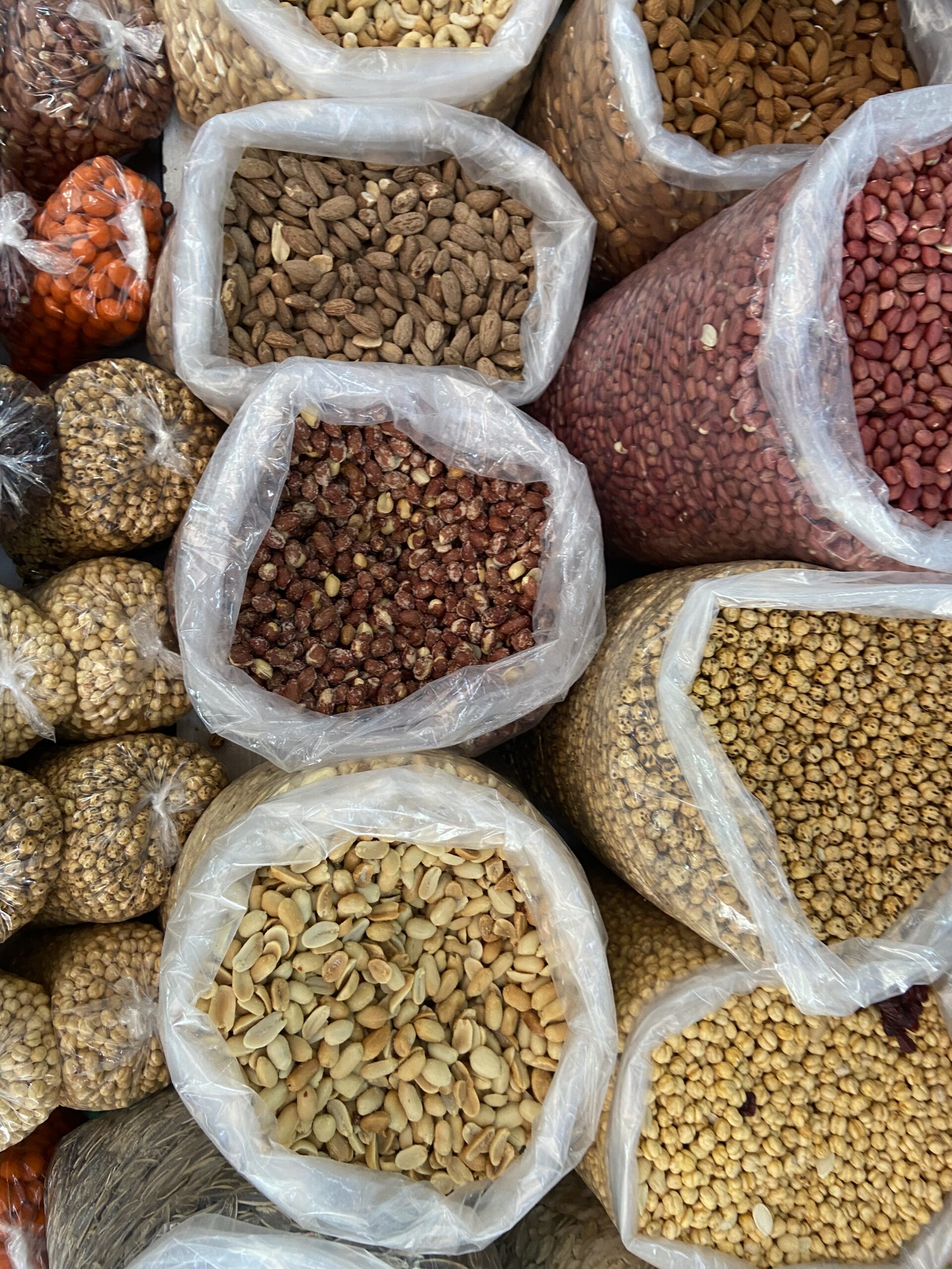 gucci taschen, ein Beschützerhund und immer noch kein Hunger